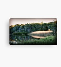 Reflected Lowlight Canvas Print