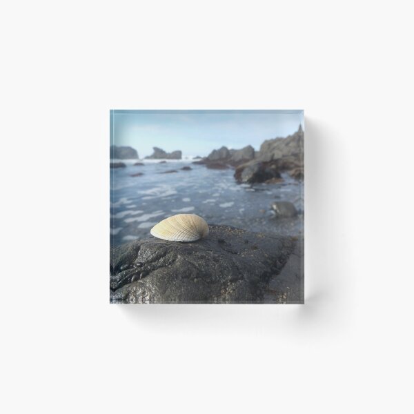 Item preview, Sea Shell by the Sea Shore designed and sold by Alidog5894.