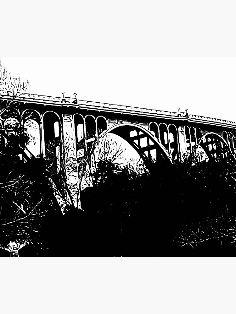 Colorado Street Bridge, Pasadena, California by douglasewelch