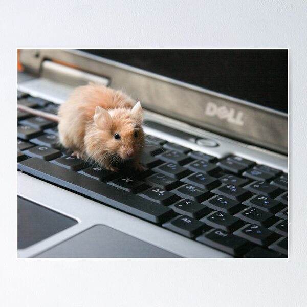 Item preview, My mouse is not working ??? designed and sold by Nina  Matthews Photography.