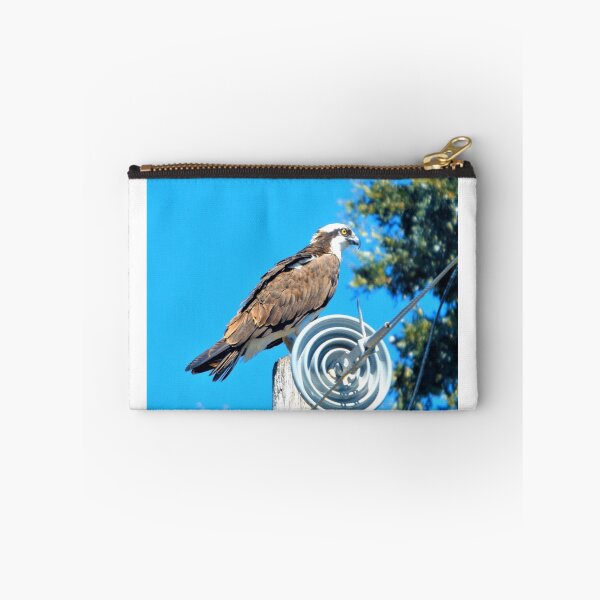 Item preview, Osprey out and about designed and sold by Alidog5894.