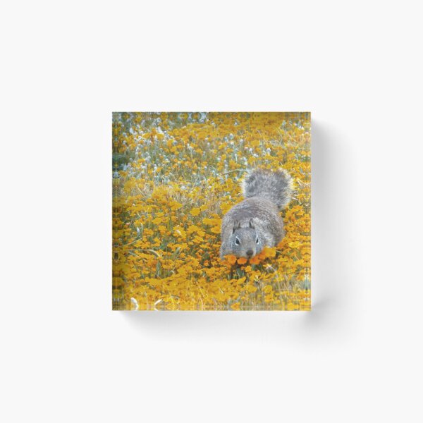Item preview, Frolicking squirrel designed and sold by Alidog5894.