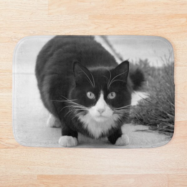 Item preview, Black and White Cat designed and sold by ritmoboxers.