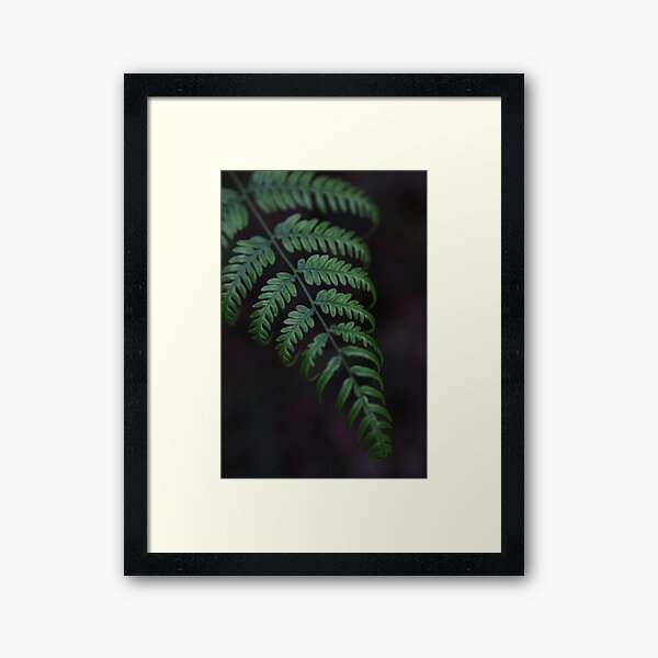 Deep green fern Framed Art Print