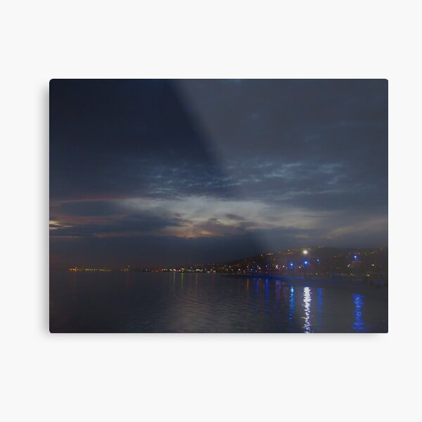 Metal Print
