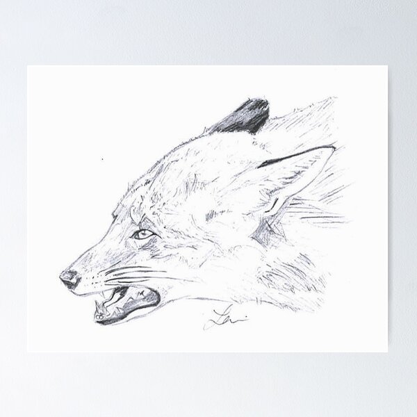 Item preview, Angry Fox Sketch designed and sold by RedMedKit.
