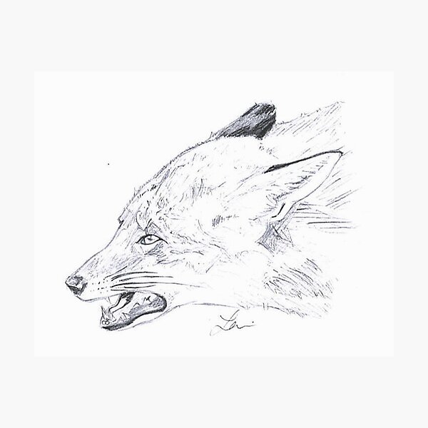 Item preview, Angry Fox Sketch designed and sold by RedMedKit.