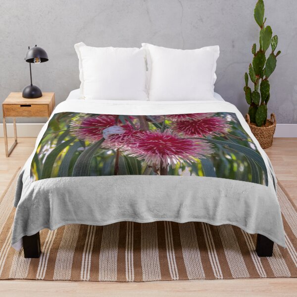 Item preview, Hakea Laurina - group designed and sold by DPalmer.
