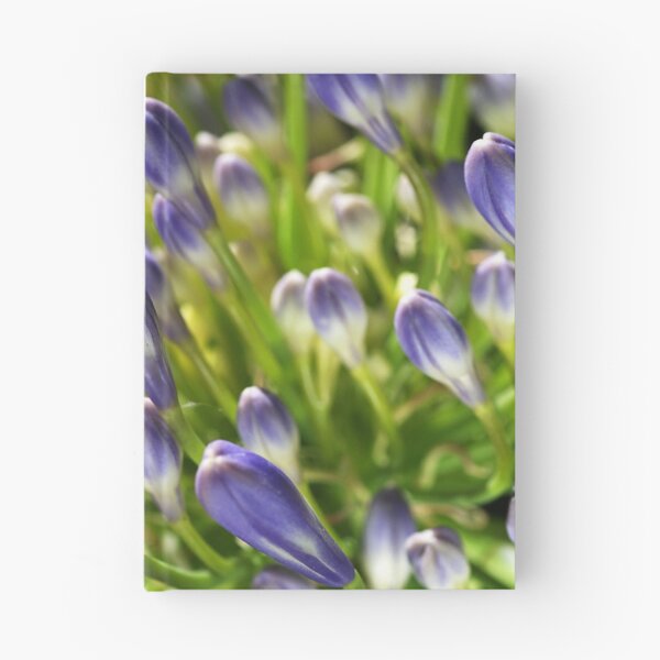 Item preview, Close With Agapanthus Flower designed and sold by Joy Watson - Natural Light Photography .
