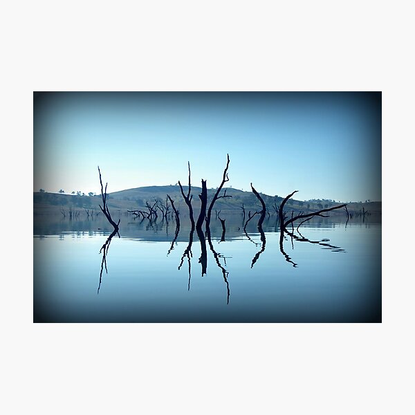 Item preview, Dead Trees Reflection designed and sold by AXEMANIAC.