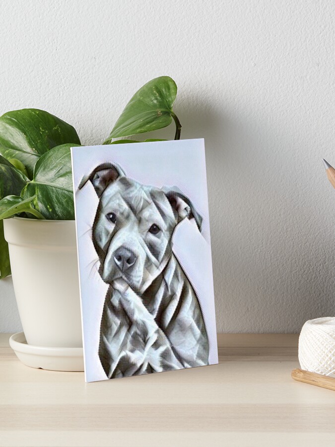 pit bull dog lover a beautiful design of a blue nose pitbull of this gentle loyal breed art board print by switchbitch redbubble