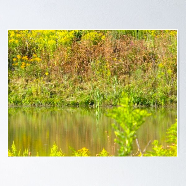 Item preview, Reflective Canadian waters designed and sold by MarianBendeth.