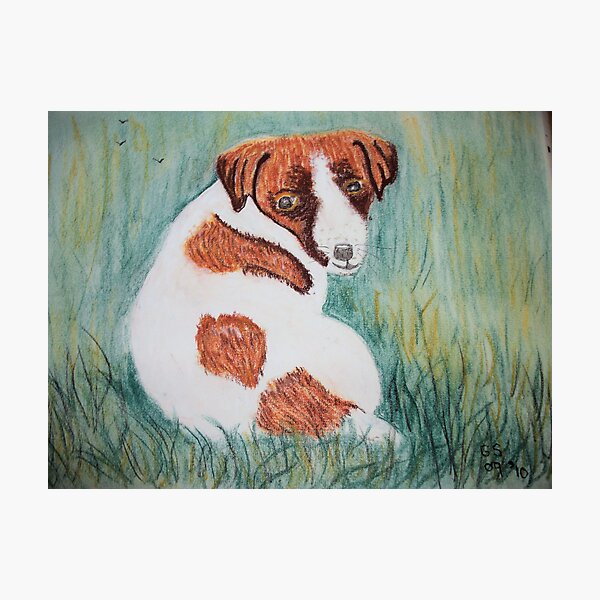 Item preview, Jack Russell Puppy  designed and sold by GEORGE SANDERSON.