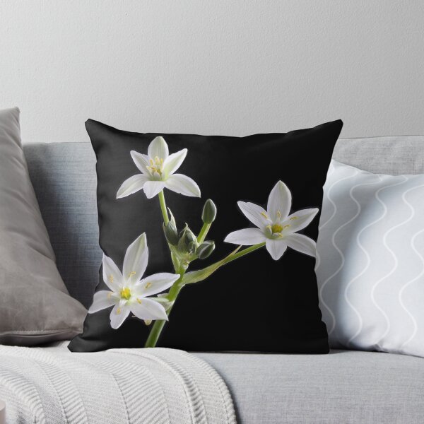 Item preview, Star of Bethlehem (Ornithogalum umbellatum) designed and sold by Creative by Design.