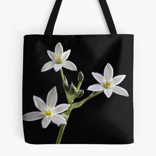 Item preview, Star of Bethlehem (Ornithogalum umbellatum) designed and sold by Creative by Design.