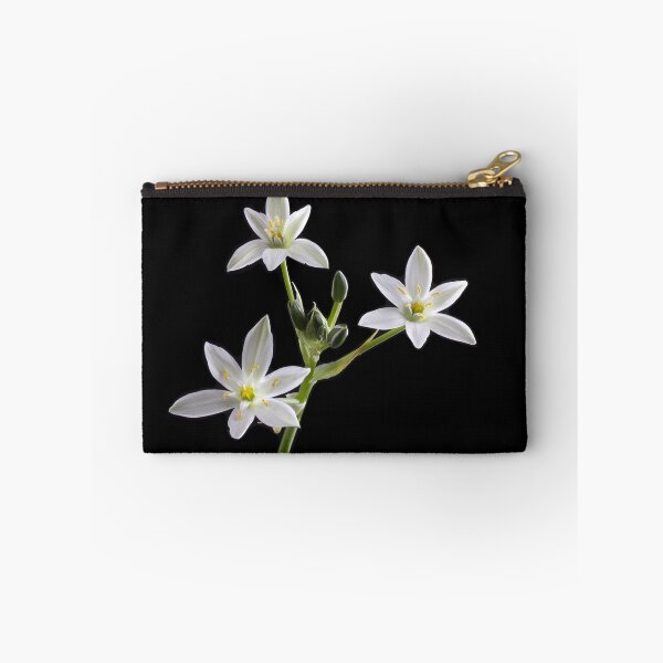 Item preview, Star of Bethlehem (Ornithogalum umbellatum) designed and sold by Creative by Design.