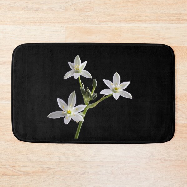 Item preview, Star of Bethlehem (Ornithogalum umbellatum) designed and sold by Creative by Design.