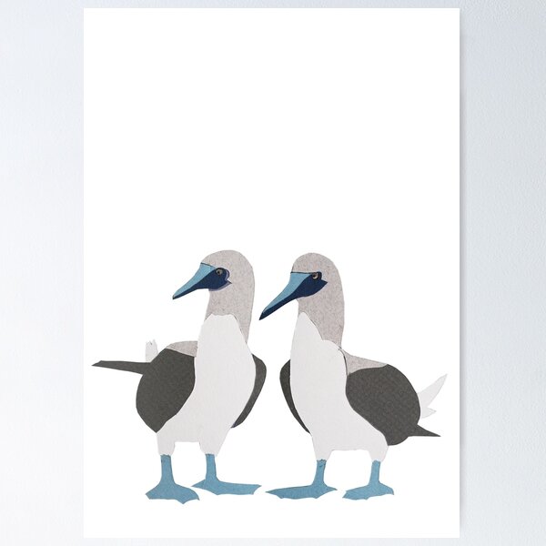 Item preview, Blue-Footed Boobies designed and sold by thesilkmoth.