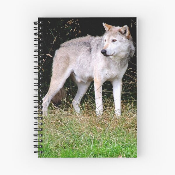 Aperçu de l'œuvre Grey Wolf One créée et vendue par Barnbk02.