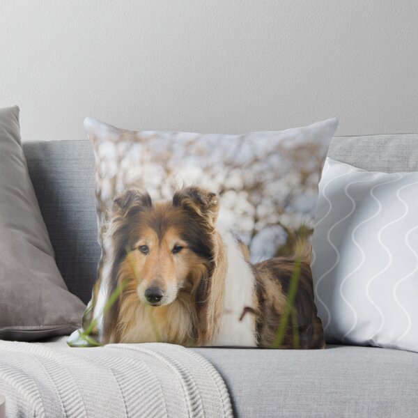 Item preview, Collie Magic designed and sold by KarenWoodArt.