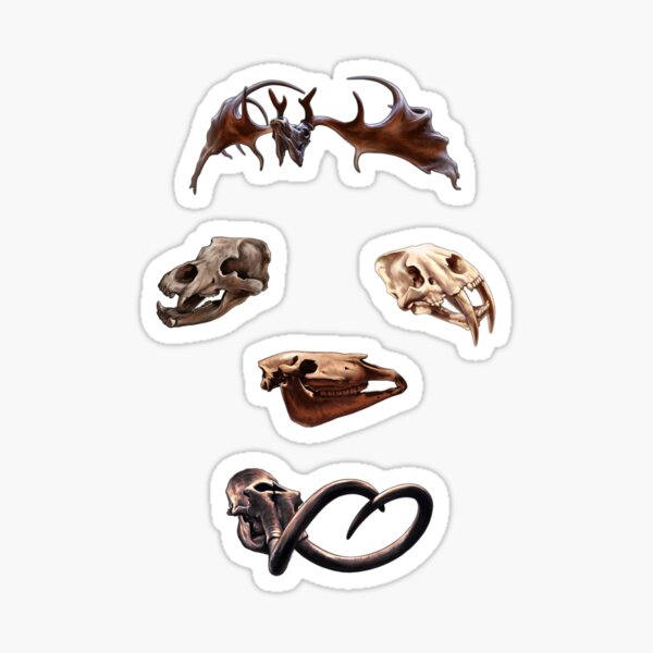 Ice Age Animal Skulls Sticker