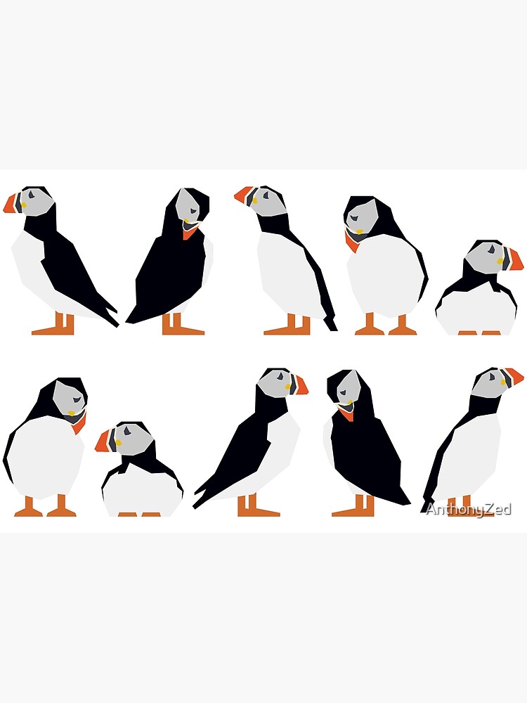 Puffins, Nature