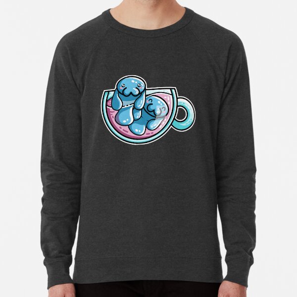 Lightweight Sweatshirt