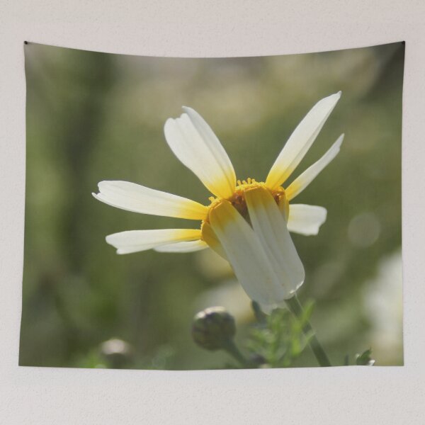 Item preview, Loves me, loves me not daisy designed and sold by Anna Lemos.