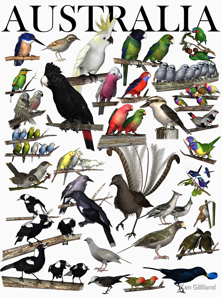 Birds of Australia 1