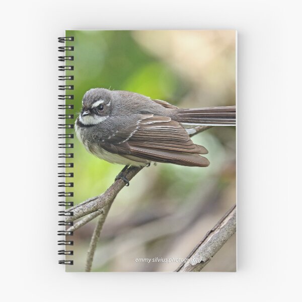 Item preview, Grey Fantail (128) designed and sold by Emmy Silvius.