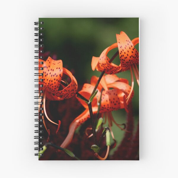 Item preview, Orange Lilies designed and sold by Larry Trupp.