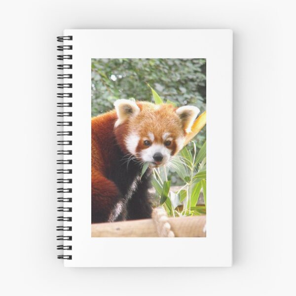Item preview, Red panda case designed and sold by Jarriet.