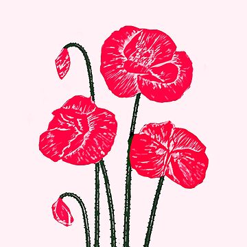 Artwork thumbnail, Poppy delight by anni103