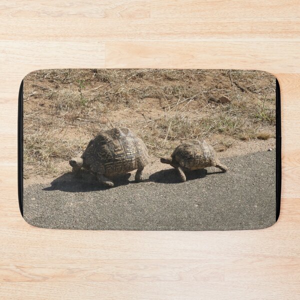 Item preview, Nature, Africa, South Africa, Kruger NP, Animal, Turtles, Photography, BebiCervin designed and sold by BebiCervin.