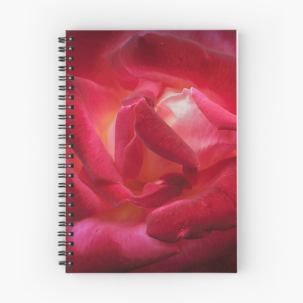 Item preview, Rose On Fire designed and sold by Christine Lake.