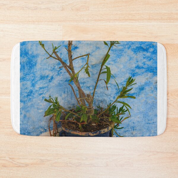 Item preview, Morocco Still Life designed and sold by Brendan Buckley.