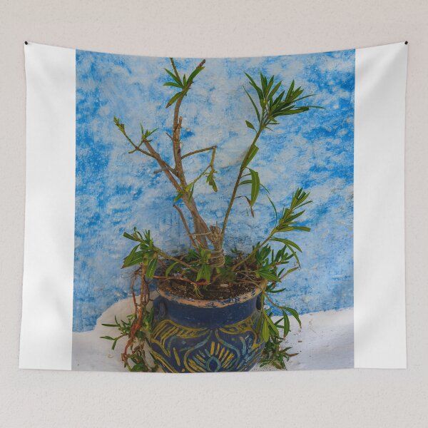 Item preview, Morocco Still Life designed and sold by Brendan Buckley.