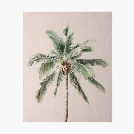 Item preview, Palm, Summer, Neutral, Beach art, Tropical, Modern art, Wall art, Print, Minimalistic, Modern designed and sold by juliaemelian.