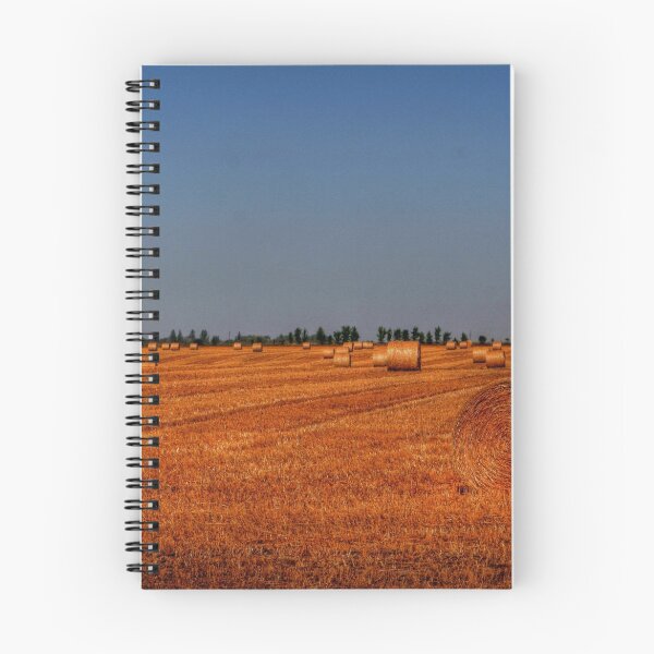 Item preview, AFTER THE HARVEST designed and sold by Larry Trupp.
