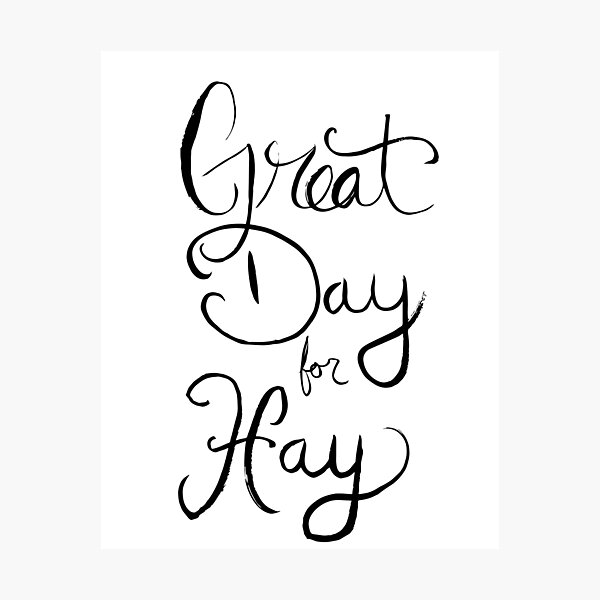 Great Day for Hay Photographic Print