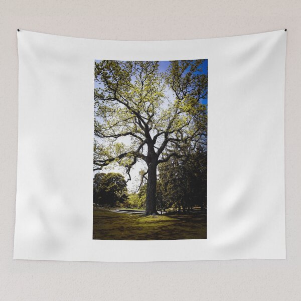 Item preview, Old Oak Tree designed and sold by BritishYank.