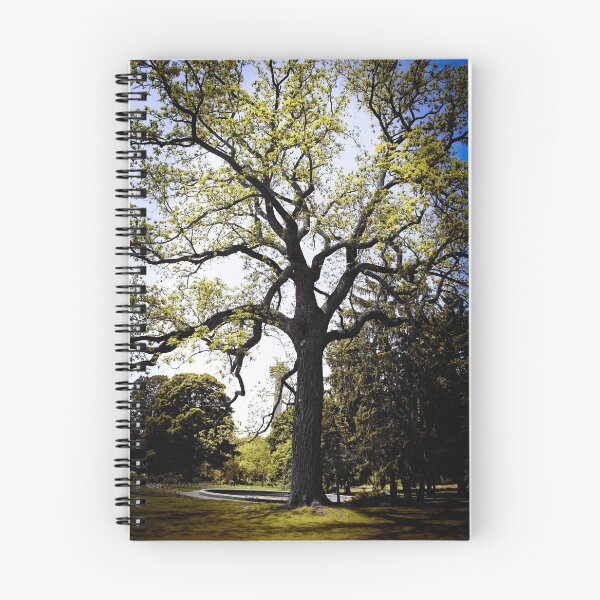 Item preview, Old Oak Tree designed and sold by BritishYank.