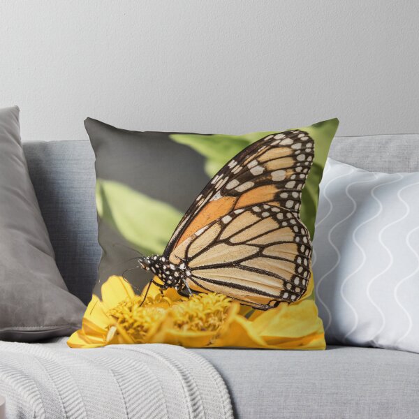 Artikelvorschau, Monarch auf Zinnia entworfen und verkauft von Thomasyoung.