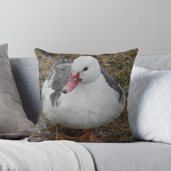 Item preview, Pato de Muscovy designed and sold by imphavok.