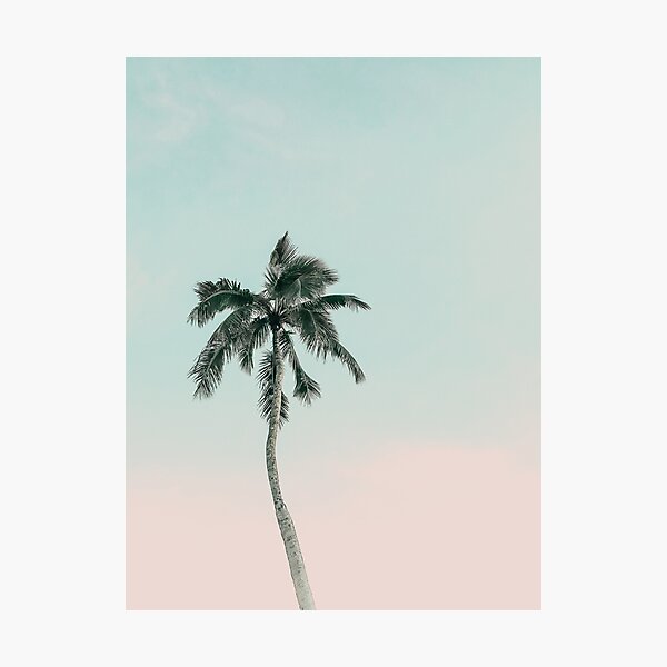 Palm, Summer, Neutral, Beach art, Tropical, Modern art, Minimalistic, Modern Photographic Print