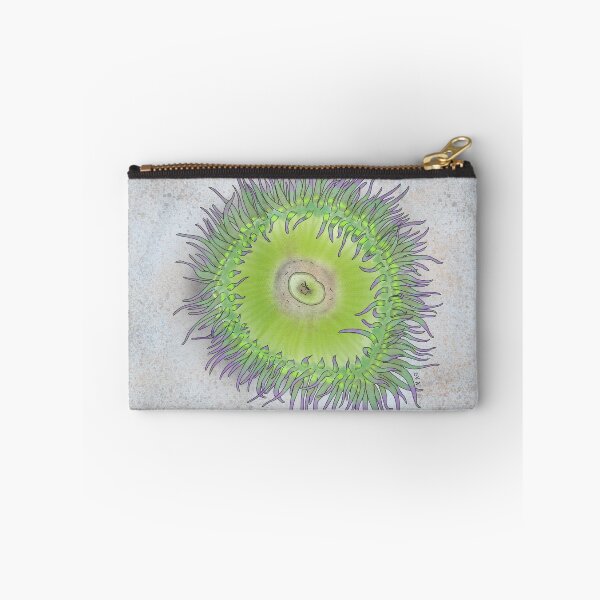 Item preview, Open anemone designed and sold by Olivia V. Ambrogio.