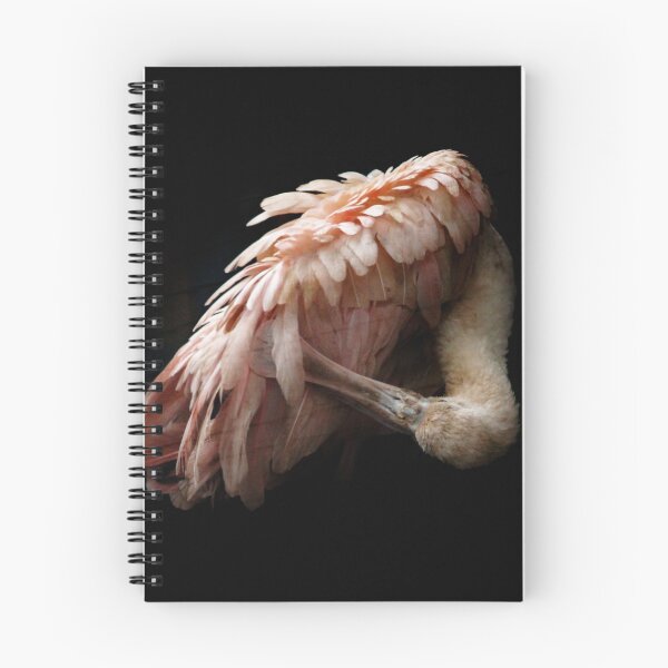 Item preview, European Spoonbill designed and sold by Ladymoose.