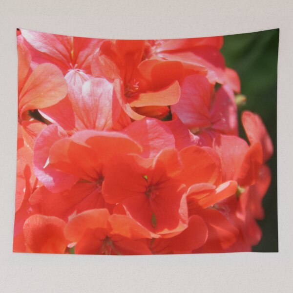 Item preview, Zonal Geranium Pelargonium hortorum designed and sold by taiche.