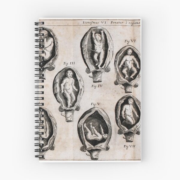 Item preview, Vintage pre-birth chart designed and sold by Vintage Designs +.
