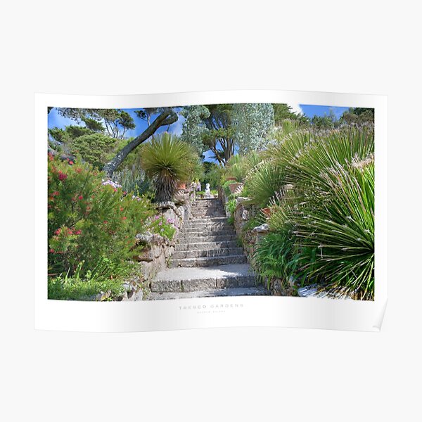 Tresco, Isles of Scilly Poster